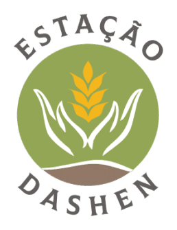 Estação Dashen
